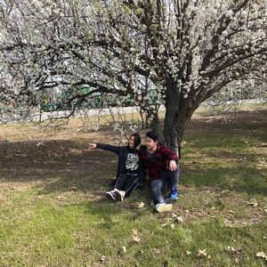 Meet your Posher, Phong